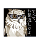 われら眼鏡部！（個別スタンプ：21）