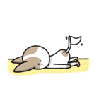 BIRKIN the Chihuahua（個別スタンプ：24）