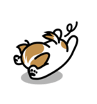 続・シーズー犬かぼちゃん（個別スタンプ：14）