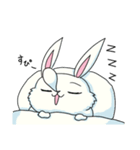 ふわぽちゃうさぎ（個別スタンプ：30）