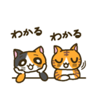 ねこがいっぱい2(二人一組編)（個別スタンプ：1）