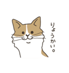 猫ねこニャン子（個別スタンプ：13）