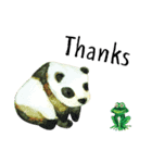 ANIMALS TALK（個別スタンプ：39）
