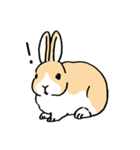 英語でうさぎ（個別スタンプ：25）
