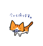 茶トラのあいさつ（個別スタンプ：26）