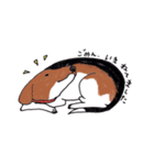 ビーグル犬♡（個別スタンプ：21）