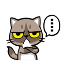 Meow Zhua Zhua - No.3 -（個別スタンプ：24）