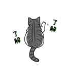 了解猫（個別スタンプ：33）