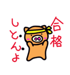 合格 ぶーちゃん（個別スタンプ：4）