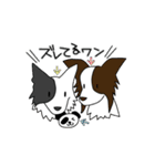 すきすきボーダーコリー4（個別スタンプ：37）
