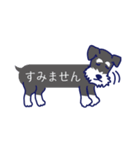 シュナとトイプー 第4弾 ふきだしタイプ（個別スタンプ：21）