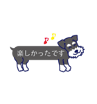 シュナとトイプー 第4弾 ふきだしタイプ（個別スタンプ：38）