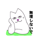 幸せの白い猫（個別スタンプ：34）