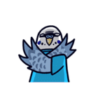 セキセイインコマン（個別スタンプ：6）