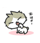 ジトぬこ（個別スタンプ：6）