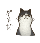 おちゃめ猫とイケメン猫（個別スタンプ：4）