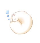 ほんわか猫スタンプ（個別スタンプ：3）