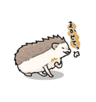 いつでもはりねずみ（個別スタンプ：7）
