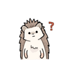 いつでもはりねずみ（個別スタンプ：33）