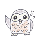 ふくろうのほーくん（個別スタンプ：1）