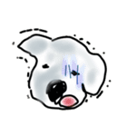 こあらエブリディ（個別スタンプ：9）