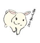 子うさぎさんたち（個別スタンプ：32）