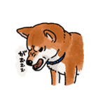 柴犬のふじ その2（個別スタンプ：40）