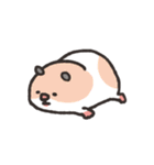 ゆるいぞ！はむはむちゃんスタンプ（個別スタンプ：33）