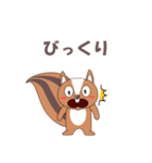 リスで会話（個別スタンプ：20）