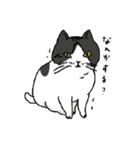 そう言っているようにみえるネコ（個別スタンプ：6）