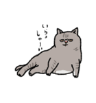 そう言っているようにみえるネコ（個別スタンプ：10）
