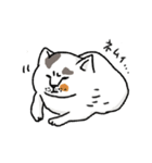 そう言っているようにみえるネコ（個別スタンプ：37）