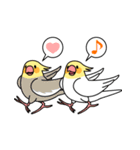 オカメインコ「おかめいんこちゃん」（個別スタンプ：7）