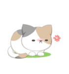 【仲良し】猫の日常（個別スタンプ：29）