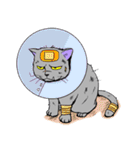Moong The Korat Cat（個別スタンプ：39）