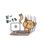 たれ目なネコのケンさん（個別スタンプ：28）