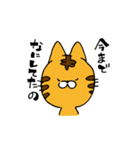 おこねこ（個別スタンプ：1）