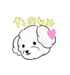 トイプードルみるくのいちにち（個別スタンプ：13）