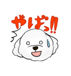 トイプードルみるくのいちにち（個別スタンプ：39）