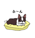 ボステリふう（個別スタンプ：36）