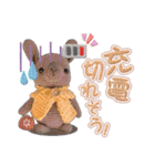 あみぐるんベーシック1（個別スタンプ：40）