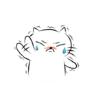 白い猫ふくしき（個別スタンプ：14）