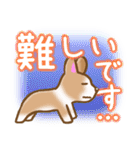 コーギーさんのおしゃべりスタンプ（個別スタンプ：18）