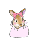 うさぎの麦ちゃん（個別スタンプ：29）