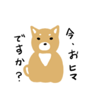 しば（個別スタンプ：1）