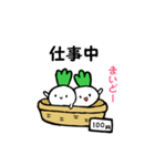かぶちゃん（個別スタンプ：23）