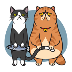 [LINEスタンプ] 猫のプライベート 