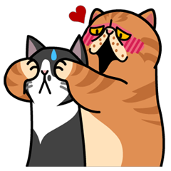 [LINEスタンプ] 続・猫のプライベート 