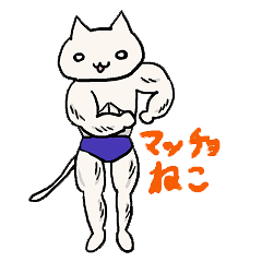 [LINEスタンプ] マッチョねこ