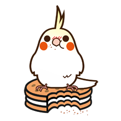 [LINEスタンプ] 鳥妹-オカメインコちゃん